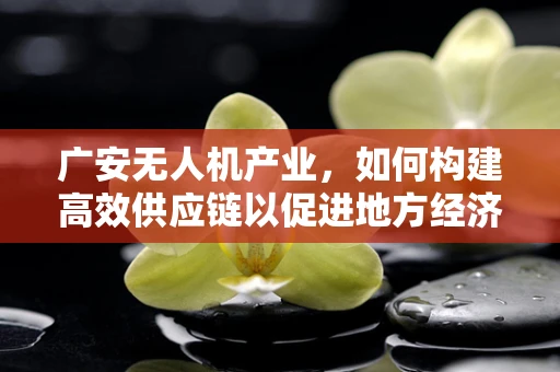 广安无人机产业，如何构建高效供应链以促进地方经济发展？