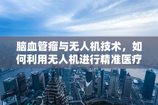 脑血管瘤与无人机技术，如何利用无人机进行精准医疗监测？