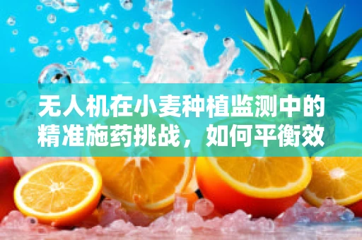 无人机在小麦种植监测中的精准施药挑战，如何平衡效率与生态？