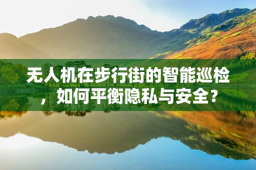 无人机在步行街的智能巡检，如何平衡隐私与安全？