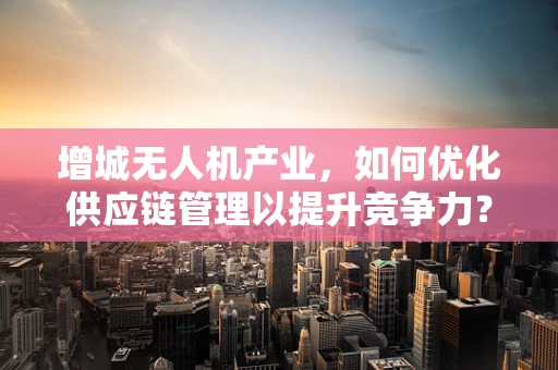 增城无人机产业，如何优化供应链管理以提升竞争力？