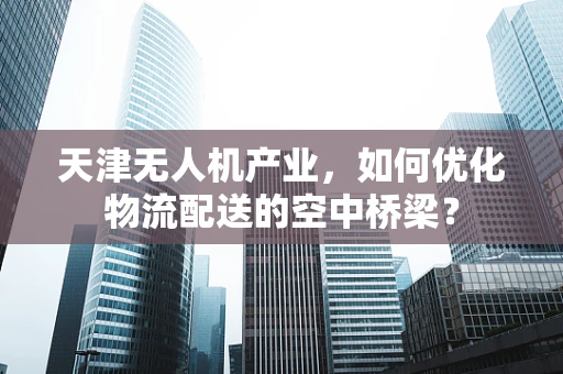 天津无人机产业，如何优化物流配送的空中桥梁？
