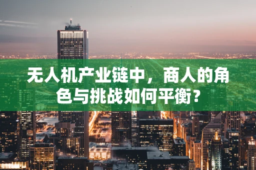 无人机产业链中，商人的角色与挑战如何平衡？