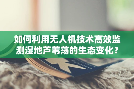 如何利用无人机技术高效监测湿地芦苇荡的生态变化？