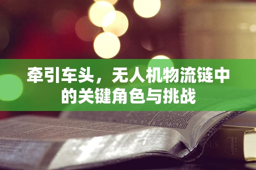 牵引车头，无人机物流链中的关键角色与挑战