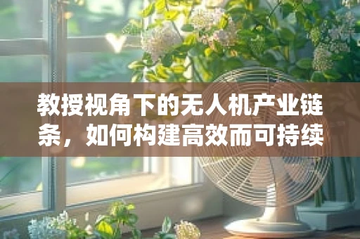 教授视角下的无人机产业链条，如何构建高效而可持续的生态系统？