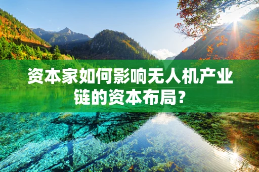 资本家如何影响无人机产业链的资本布局？