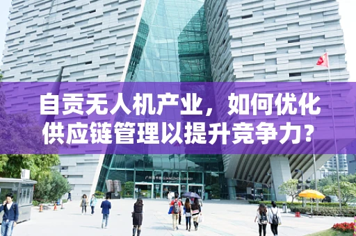 自贡无人机产业，如何优化供应链管理以提升竞争力？