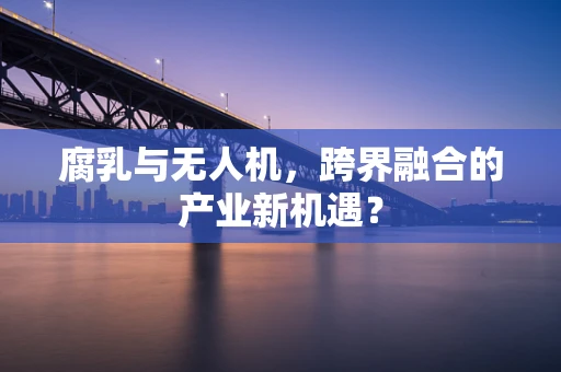 腐乳与无人机，跨界融合的产业新机遇？
