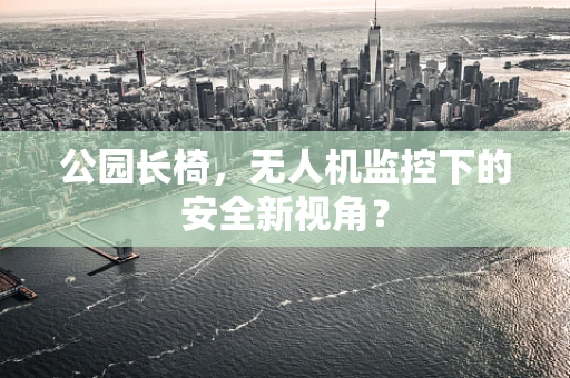 公园长椅，无人机监控下的安全新视角？