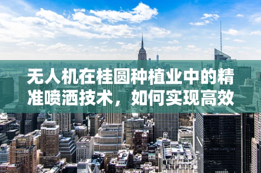 无人机在桂圆种植业中的精准喷洒技术，如何实现高效低耗？