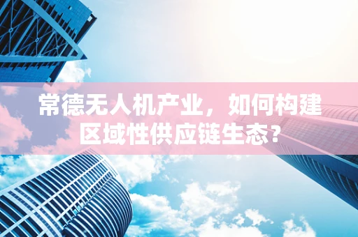 常德无人机产业，如何构建区域性供应链生态？