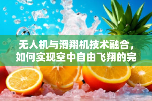 无人机与滑翔机技术融合，如何实现空中自由飞翔的完美结合？