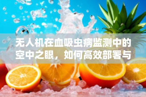 无人机在血吸虫病监测中的空中之眼，如何高效部署与数据解读？
