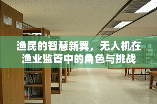 渔民的智慧新翼，无人机在渔业监管中的角色与挑战