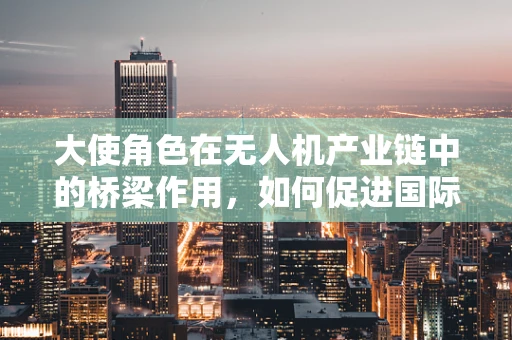 大使角色在无人机产业链中的桥梁作用，如何促进国际合作与技术创新？
