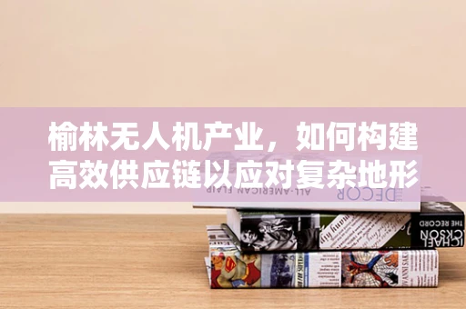 榆林无人机产业，如何构建高效供应链以应对复杂地形挑战？