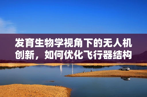 发育生物学视角下的无人机创新，如何优化飞行器结构与性能？