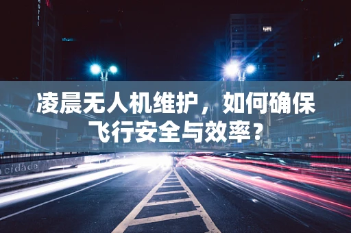 凌晨无人机维护，如何确保飞行安全与效率？