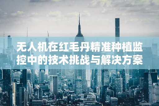 无人机在红毛丹精准种植监控中的技术挑战与解决方案
