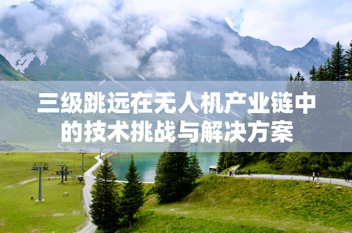 三级跳远在无人机产业链中的技术挑战与解决方案