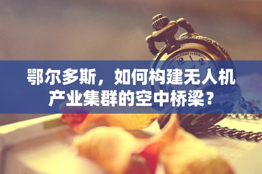 鄂尔多斯，如何构建无人机产业集群的空中桥梁？
