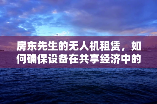房东先生的无人机租赁，如何确保设备在共享经济中的安全与高效？
