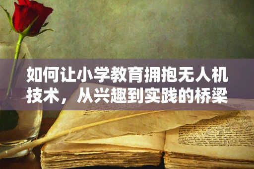 如何让小学教育拥抱无人机技术，从兴趣到实践的桥梁？