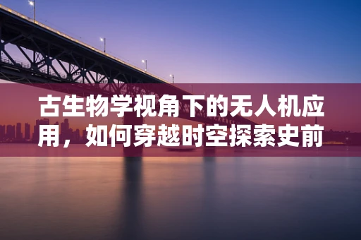 古生物学视角下的无人机应用，如何穿越时空探索史前遗迹？