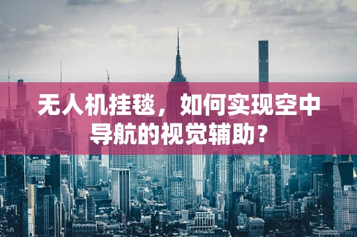 无人机挂毯，如何实现空中导航的视觉辅助？
