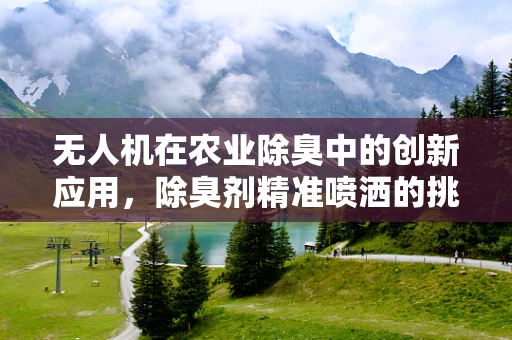 无人机在农业除臭中的创新应用，除臭剂精准喷洒的挑战与解决方案
