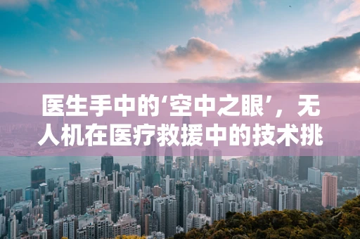 医生手中的‘空中之眼’，无人机在医疗救援中的技术挑战与机遇