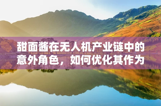 甜面酱在无人机产业链中的意外角色，如何优化其作为辅助材料的供应链管理？