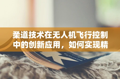 柔道技术在无人机飞行控制中的创新应用，如何实现精准避障？