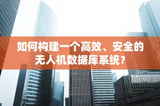 如何构建一个高效、安全的无人机数据库系统？