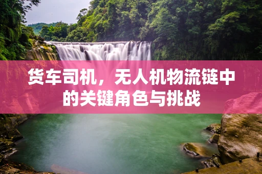 货车司机，无人机物流链中的关键角色与挑战