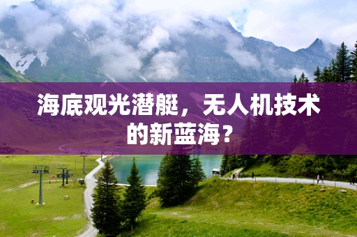 海底观光潜艇，无人机技术的新蓝海？