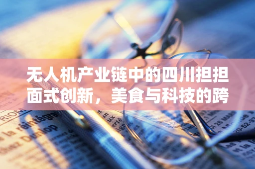 无人机产业链中的四川担担面式创新，美食与科技的跨界融合