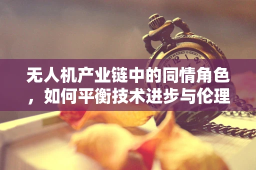 无人机产业链中的同情角色，如何平衡技术进步与伦理考量？
