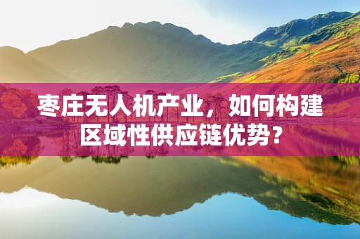 枣庄无人机产业，如何构建区域性供应链优势？