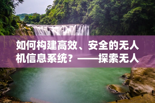 如何构建高效、安全的无人机信息系统？——探索无人机产业链的信息化新路径