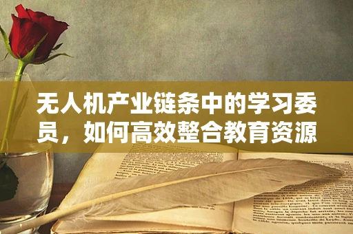 无人机产业链条中的学习委员，如何高效整合教育资源以促进技术创新？