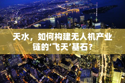 天水，如何构建无人机产业链的‘飞天’基石？