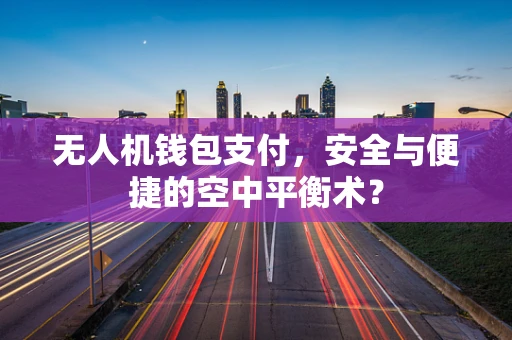 无人机钱包支付，安全与便捷的空中平衡术？