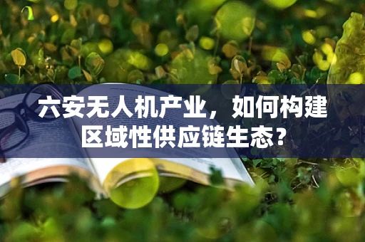 六安无人机产业，如何构建区域性供应链生态？