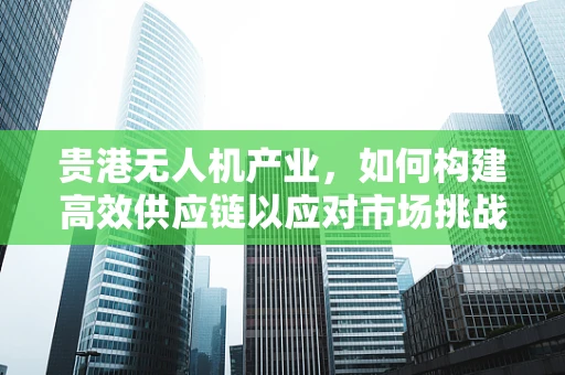 贵港无人机产业，如何构建高效供应链以应对市场挑战？