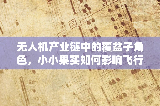 无人机产业链中的覆盆子角色，小小果实如何影响飞行稳定？