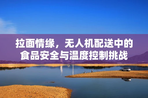 拉面情缘，无人机配送中的食品安全与温度控制挑战