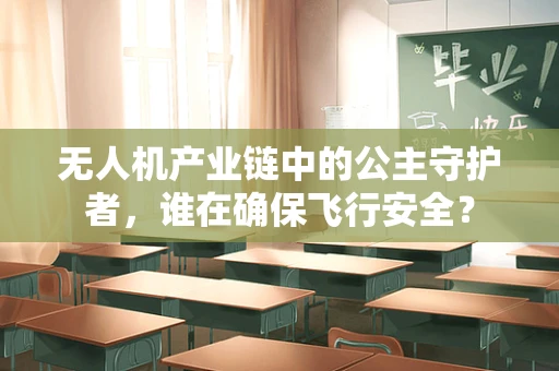 无人机产业链中的公主守护者，谁在确保飞行安全？
