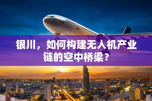 银川，如何构建无人机产业链的空中桥梁？